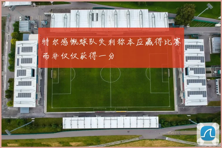 特尔感慨球队失利称本应赢得比赛而非仅仅获得一分