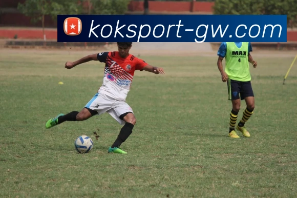 KOK体育APP 封面图